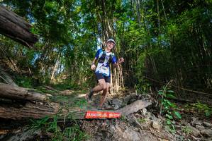 BIB: 
                            <button type="button" onclick="openModal(19387109)" class="btn btn-primary btn-sm float-right btn-popup" data-toggle="modal" data-target=".modal-high-quality">
                        <i class="fas fa-shopping-cart"></i> Add to Cart
                    </button>
                                            <button type="button" onclick="isThisMe(19387109, true)" class="btn btn-success btn-sm float-right btn-popup btn-isme hidden" data-toggle="tooltip" data-placement="bottom" title="นี่คือรูปของคุณใช่ไหม คลิกที่นี่เพื่อเอาเข้าอัลบั้ม">
                        <i class="fas fa-plus"></i> Add to album
                    </button>
                    <button type="button" onclick="isThisMe(19387109, false)" class="btn btn-warning btn-sm float-right btn-popup btn-isnotme hidden">
                        <i class="fas fa-ban"></i> Remove from album
                    </button>